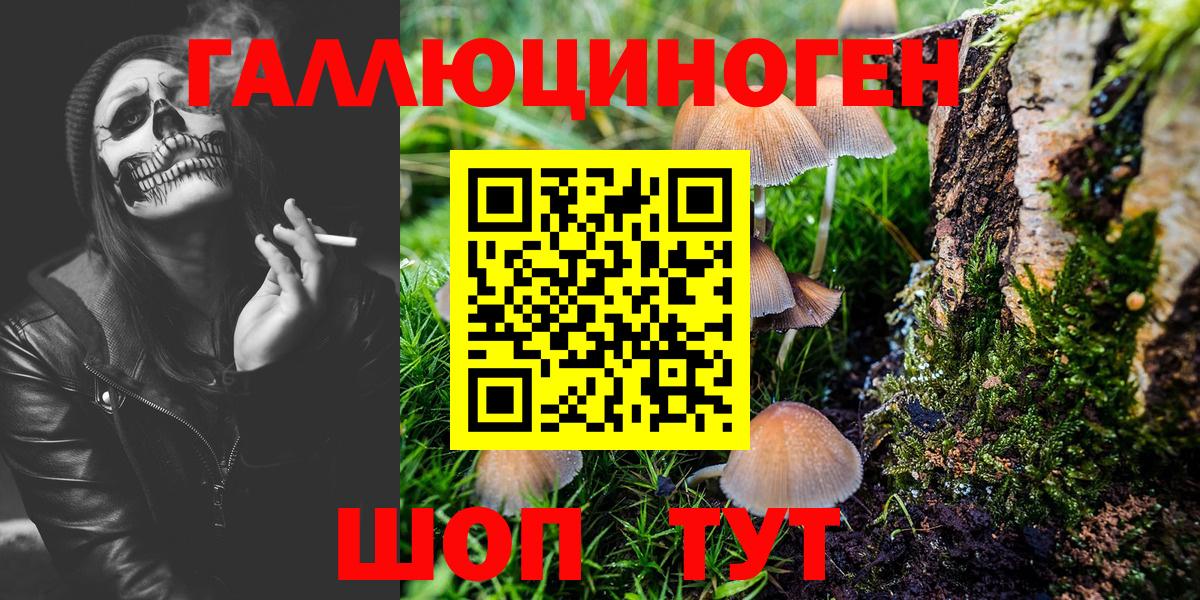Сосновоборск  Галлюциногенные грибы мухоморы  Галлюциногенные грибы GOLDEN TEACHER  закладки  Вход с VPN 
